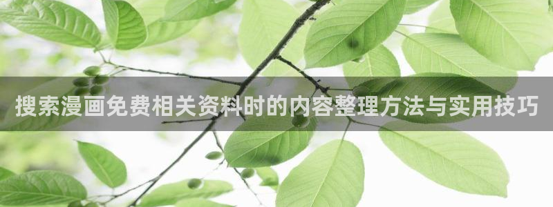 漫画免费看完结榜