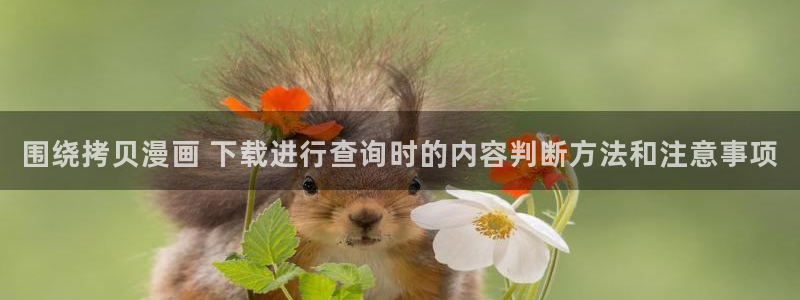 漫画免费看网页入口